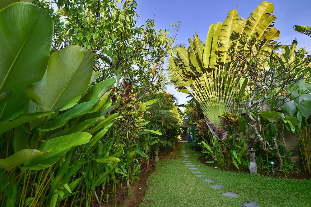 The Villas Ku