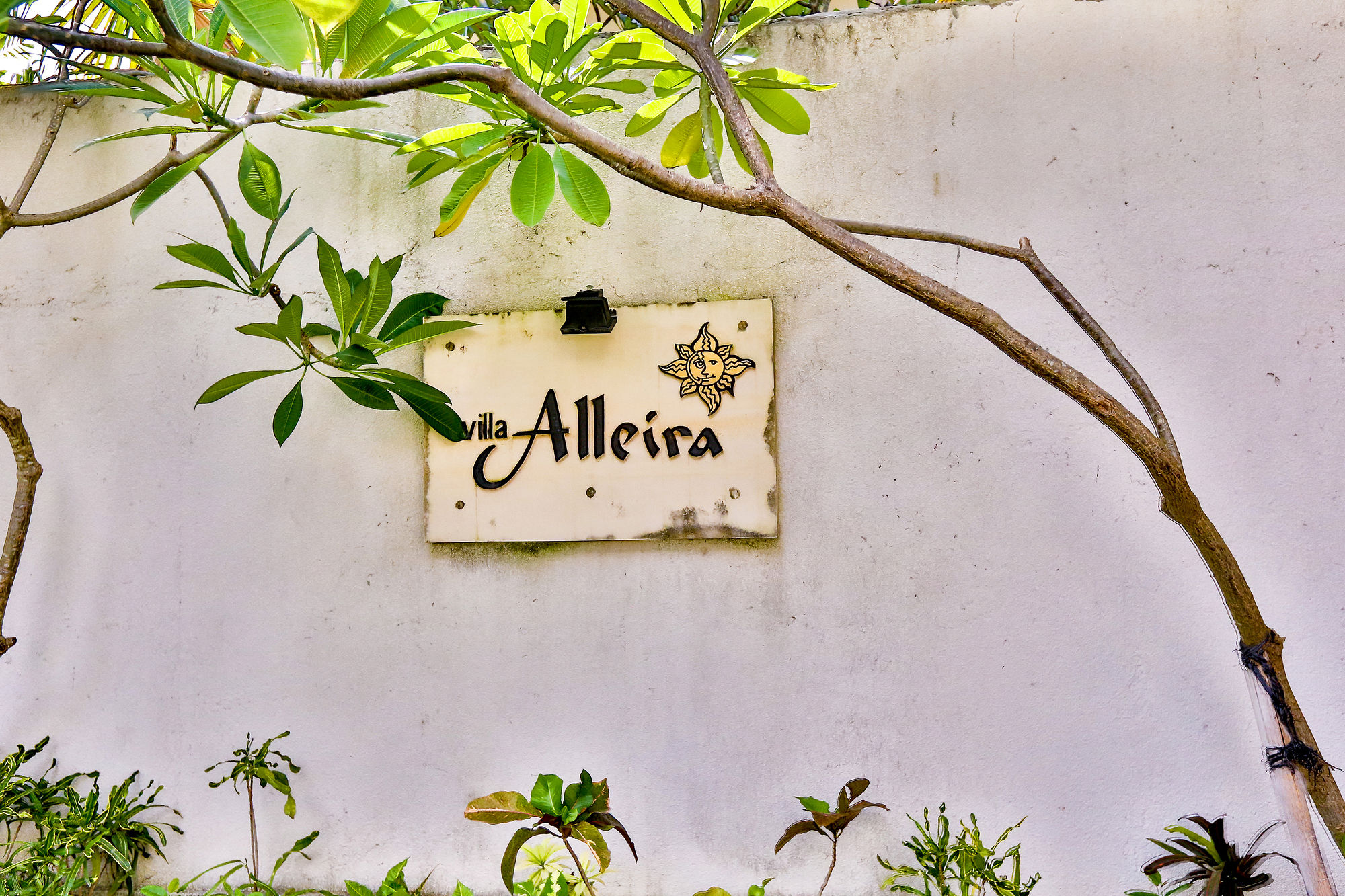 Villa Alleira