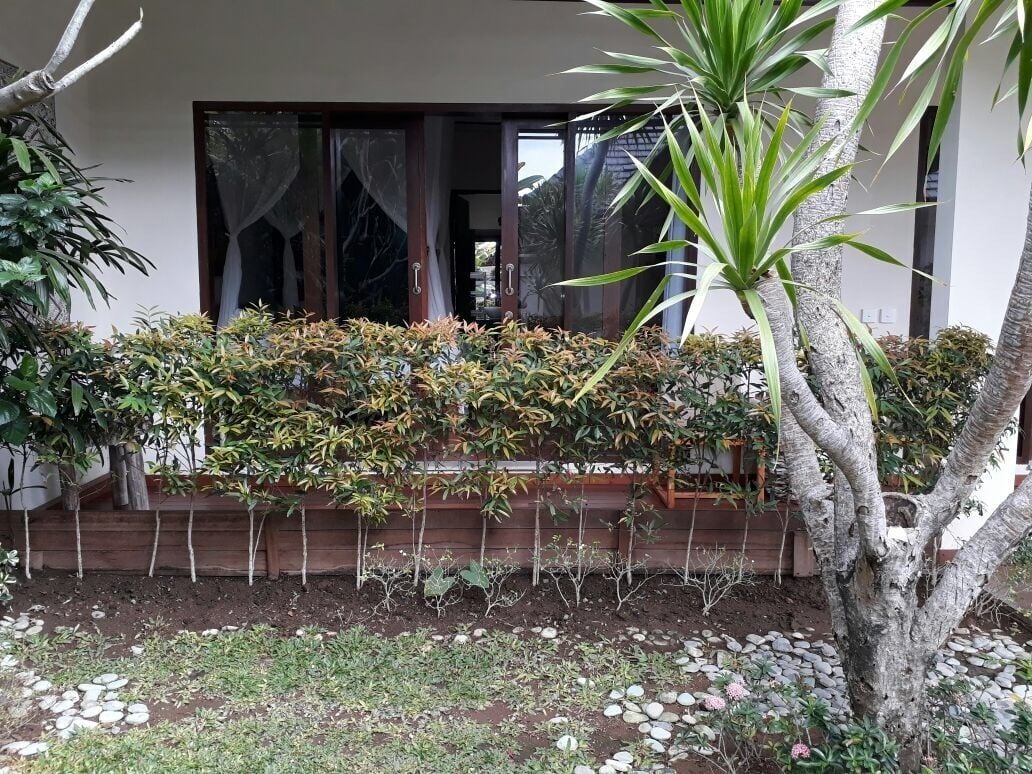 Villa Kamar Madu