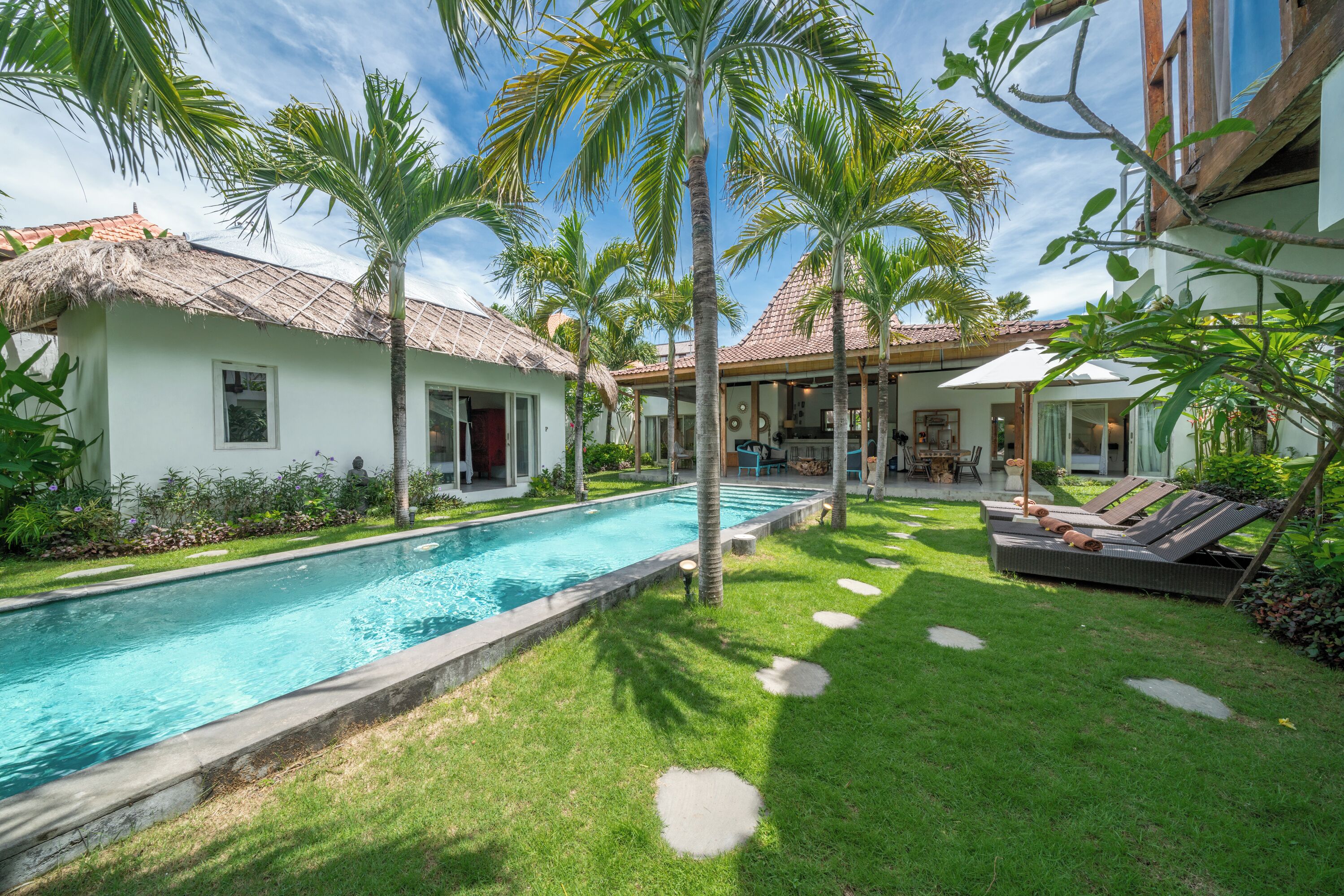 Villa Palm Tree