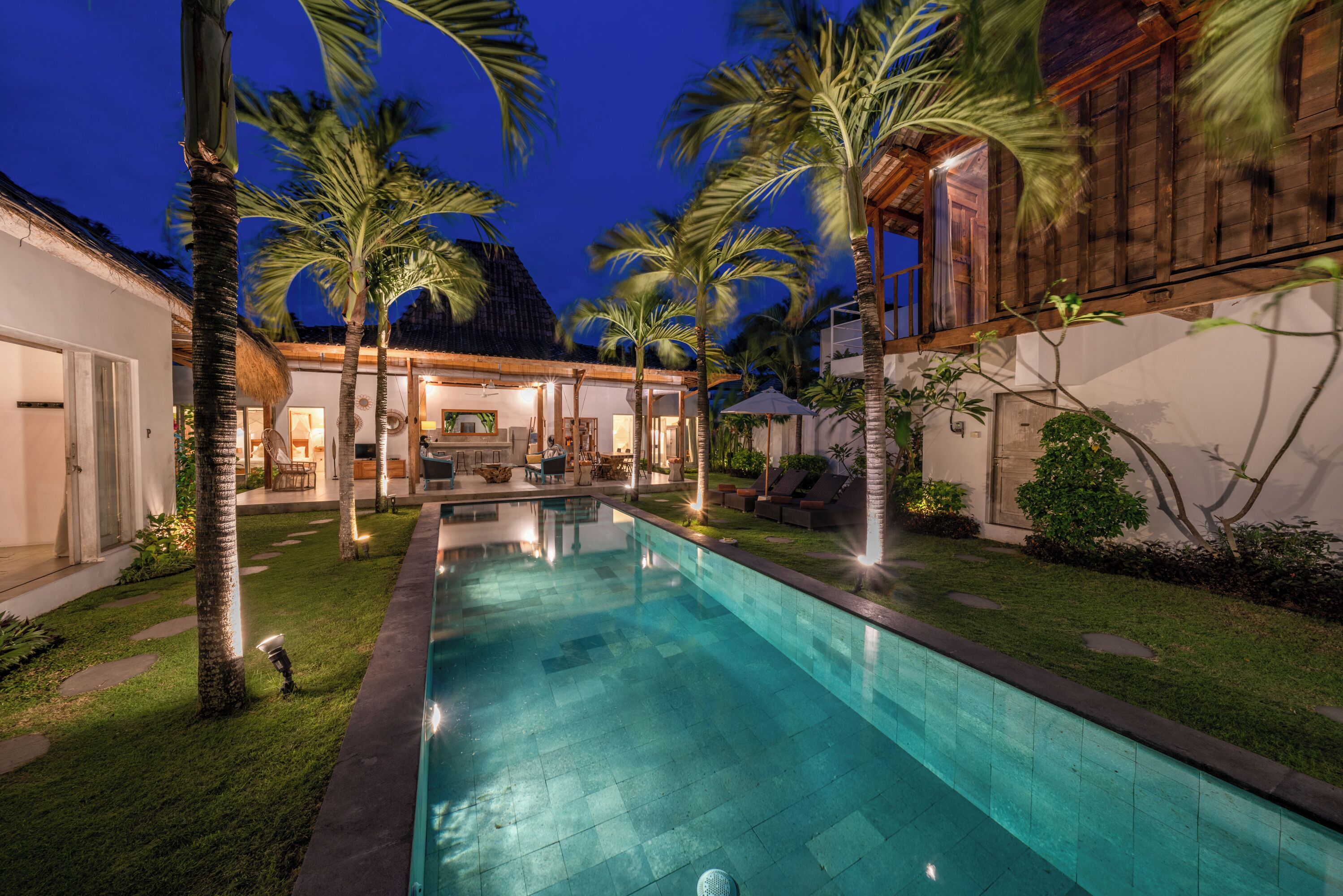 Villa Palm Tree