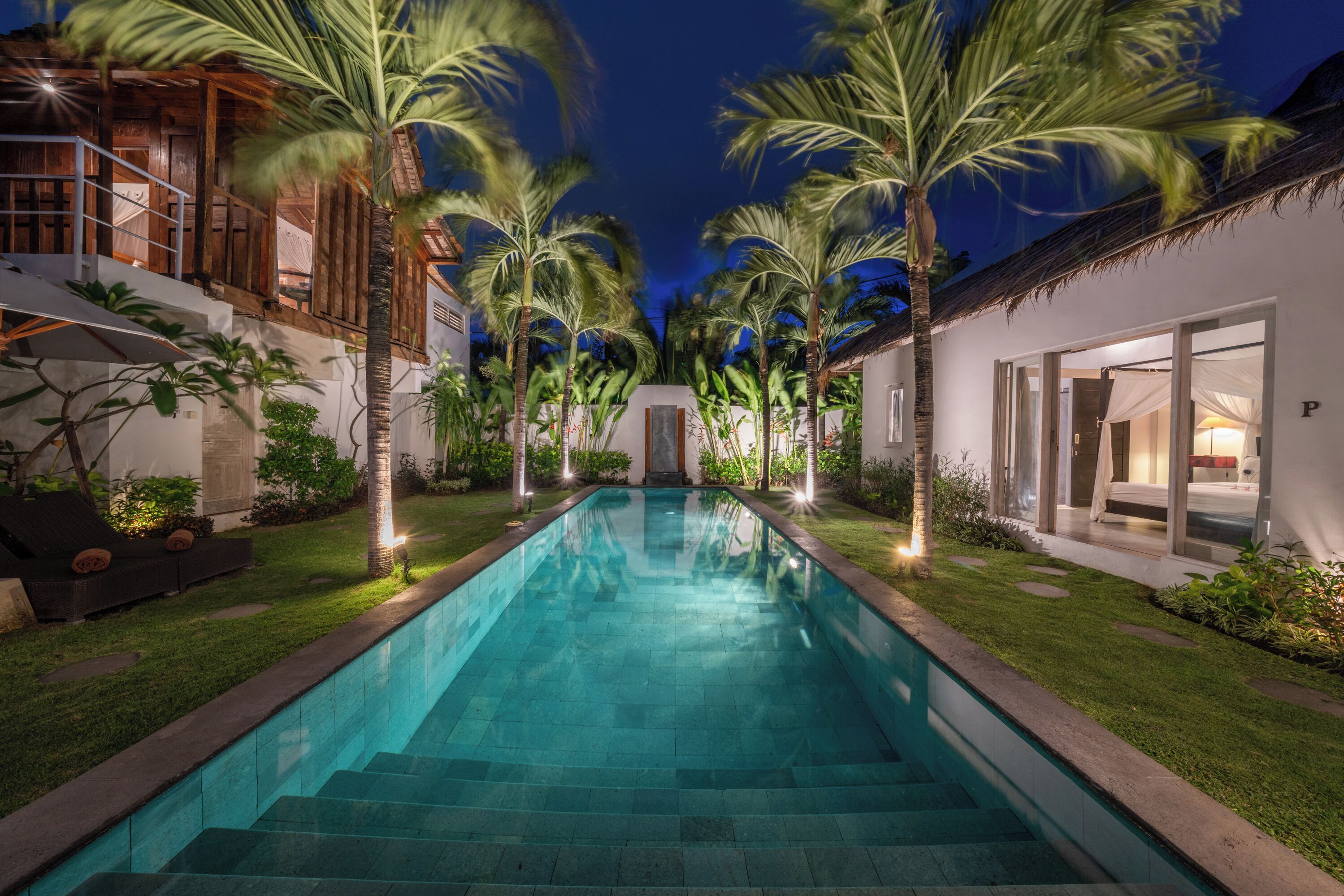 Villa Palm Tree