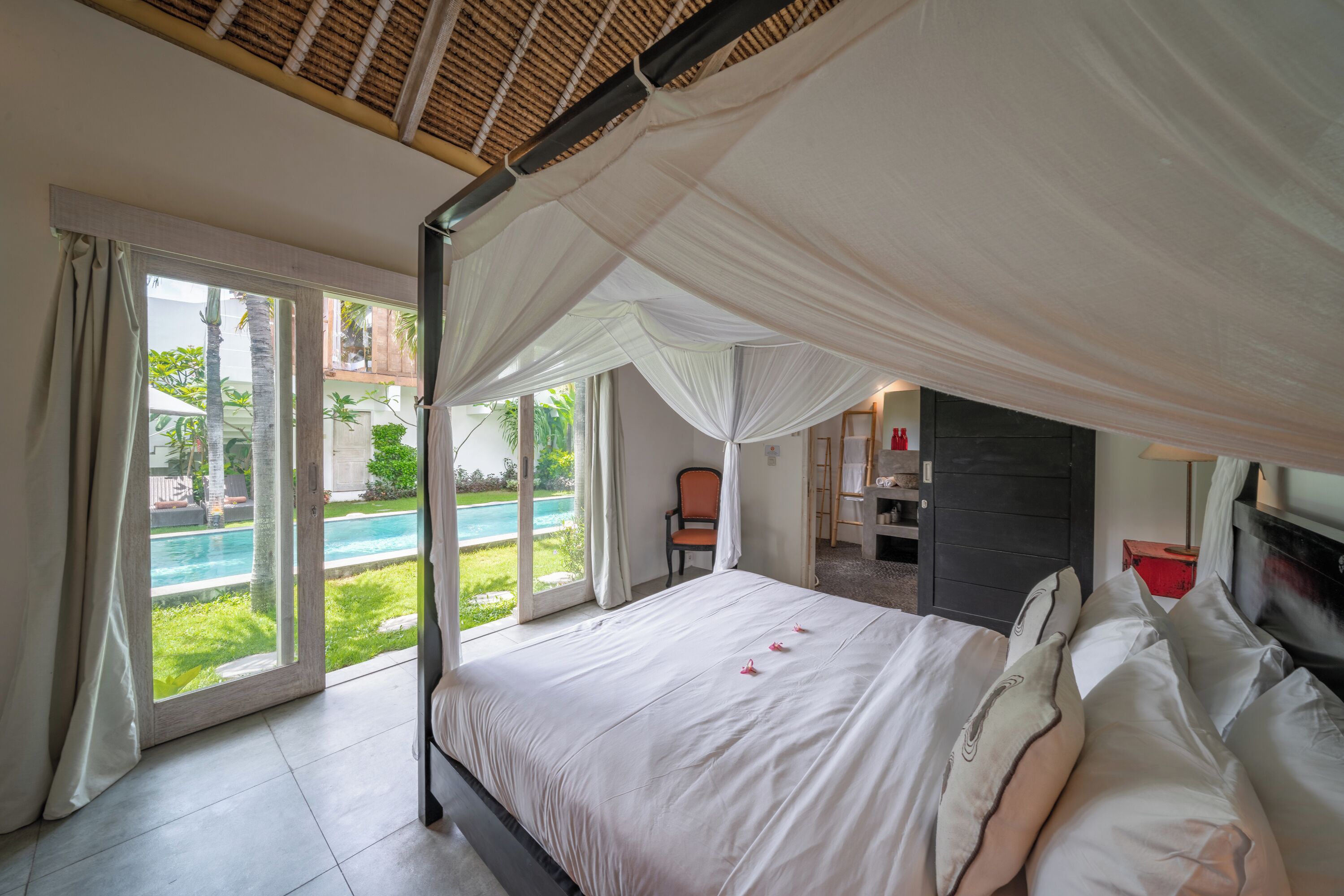 Villa Palm Tree