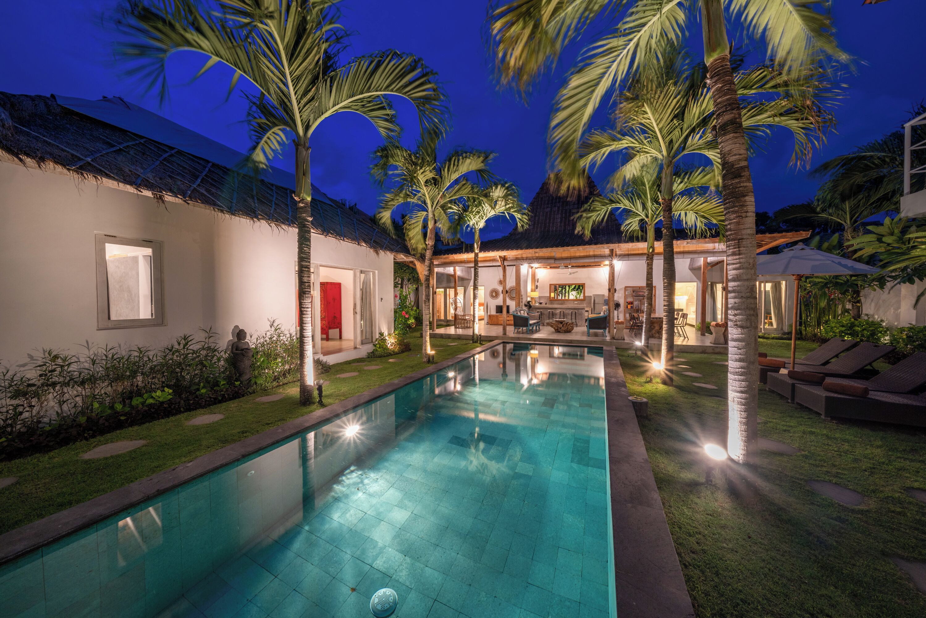 Villa Palm Tree