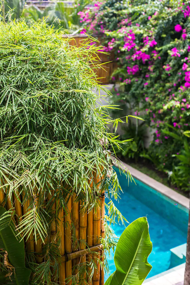 Villa Seriska Satu Seminyak