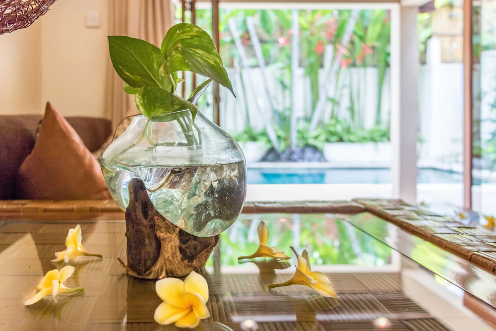 Villa Seriska Satu Seminyak