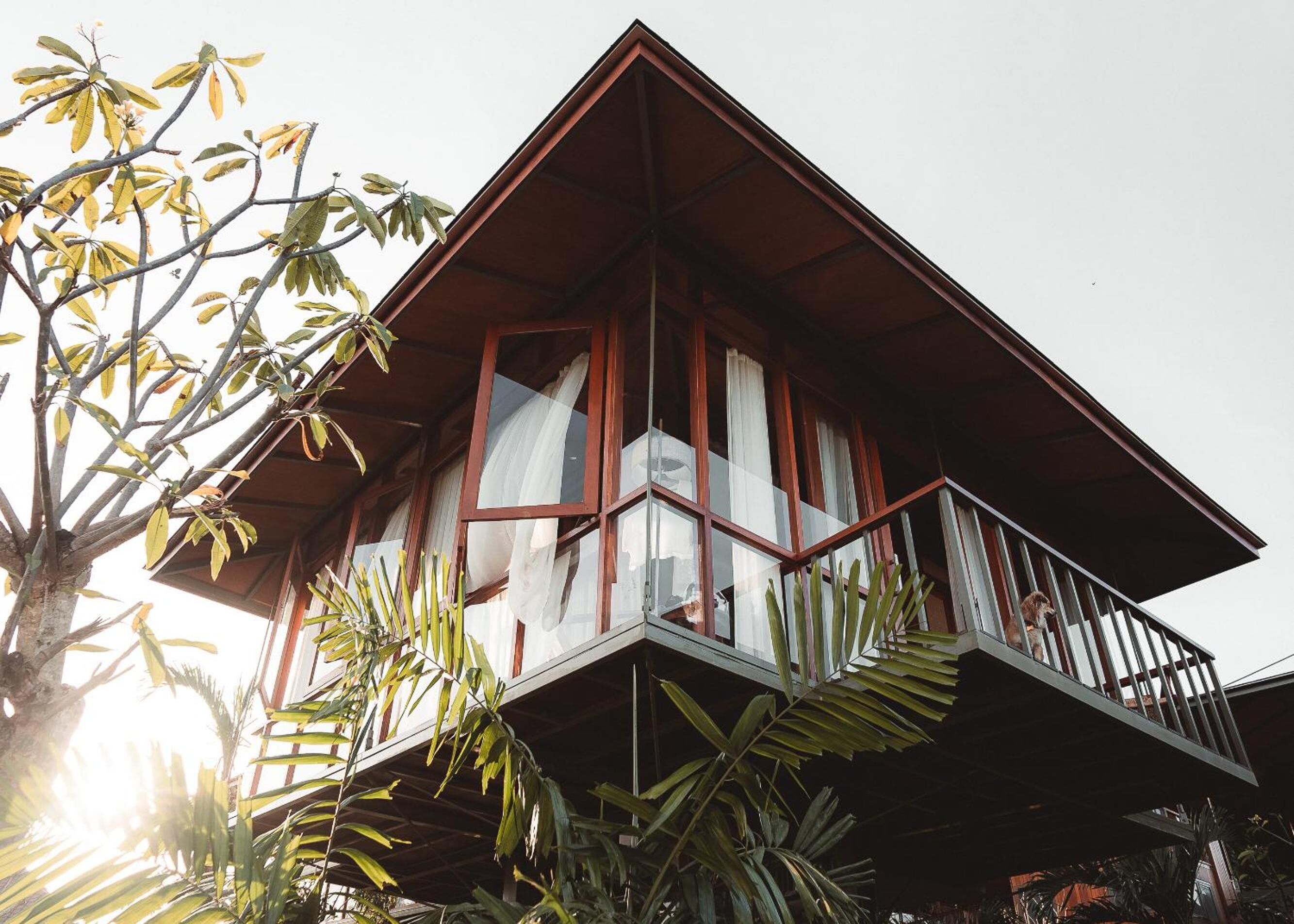 Grün Canggu