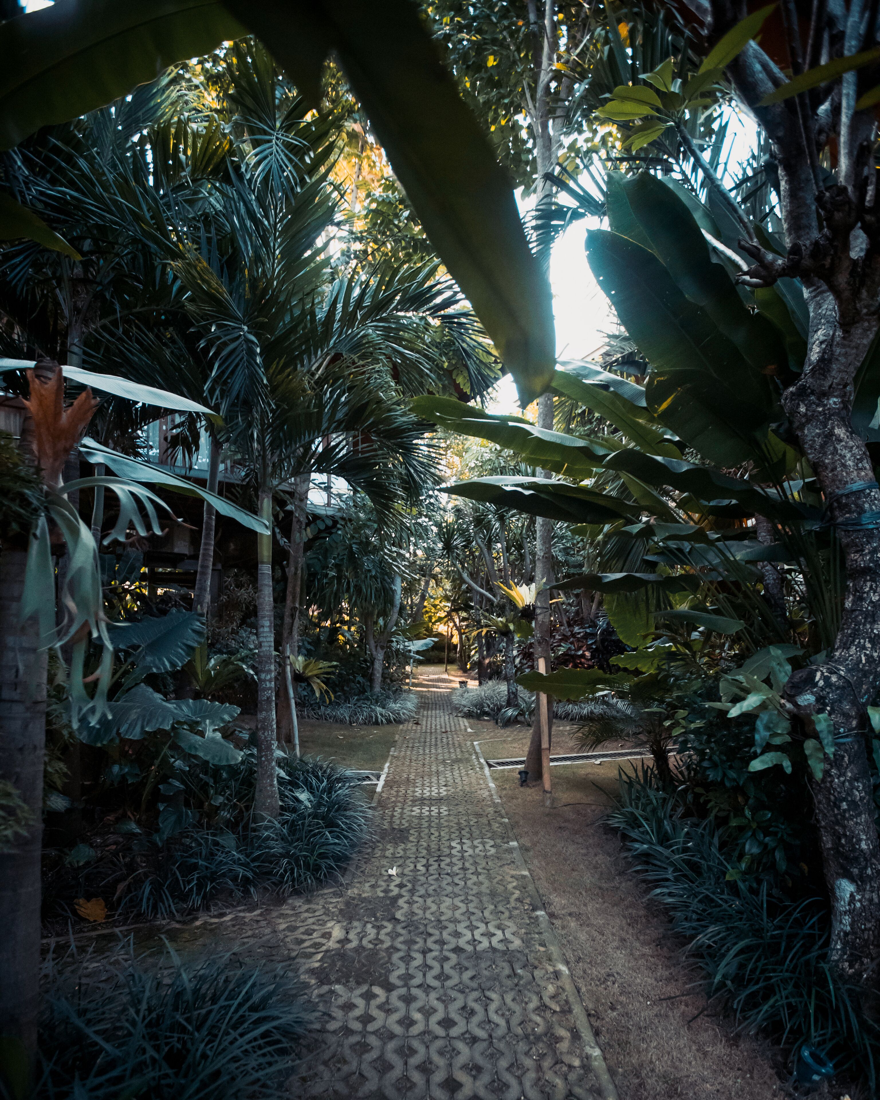 Grün Canggu