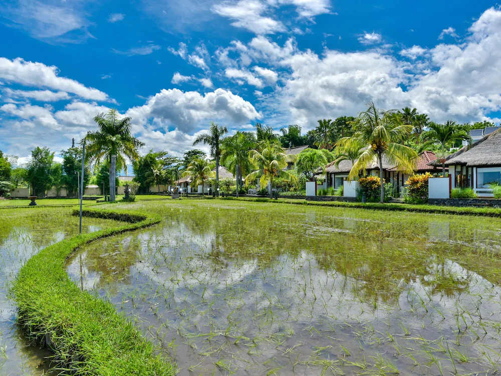 Ganesha Coral Reef Villas & Dive Resort
