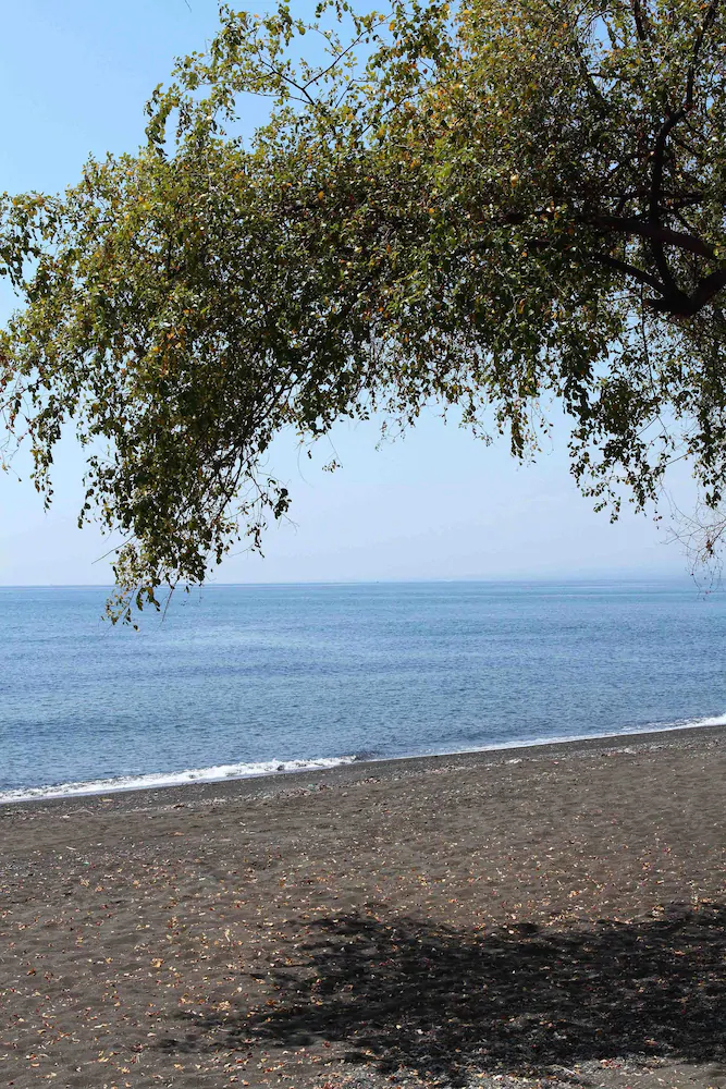 Ganesha Coral Reef Villas & Dive Resort