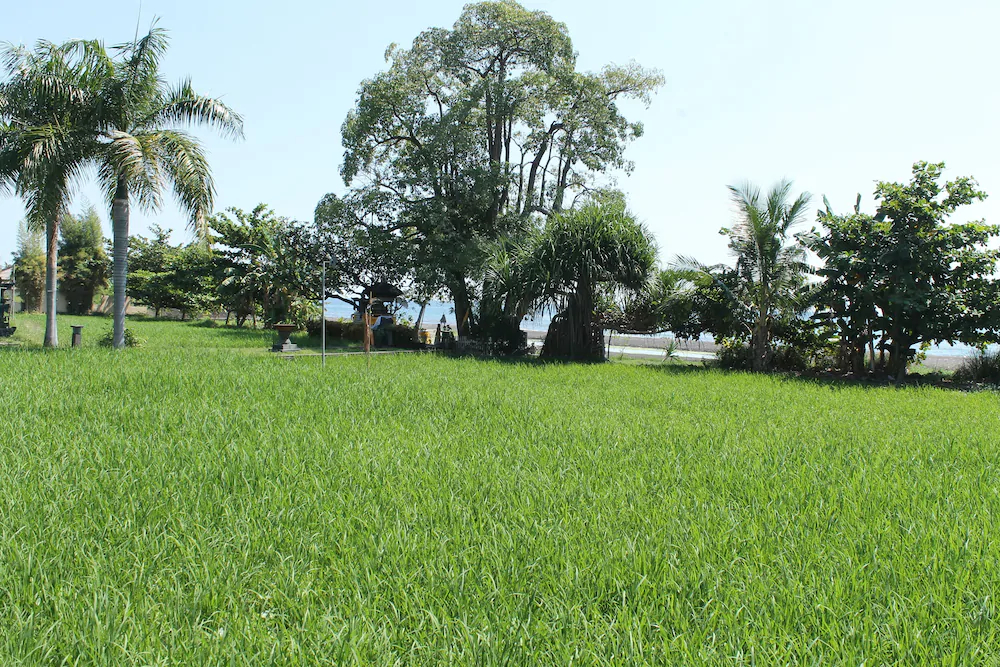 Ganesha Coral Reef Villas & Dive Resort