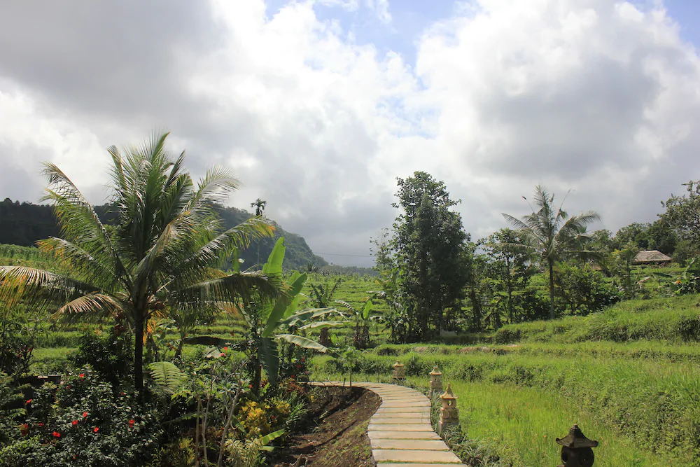 Abian Ayu Villa