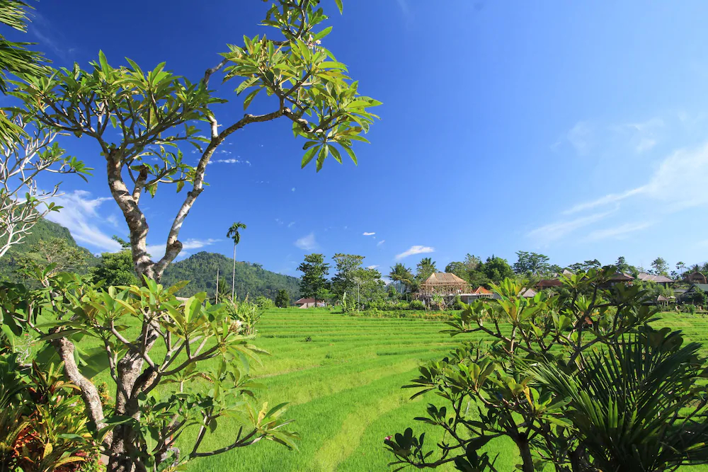 Abian Ayu Villa