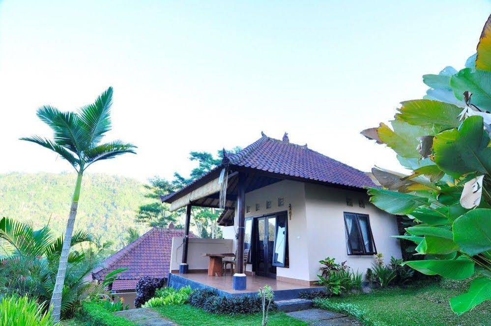 Arta Nadi Villa