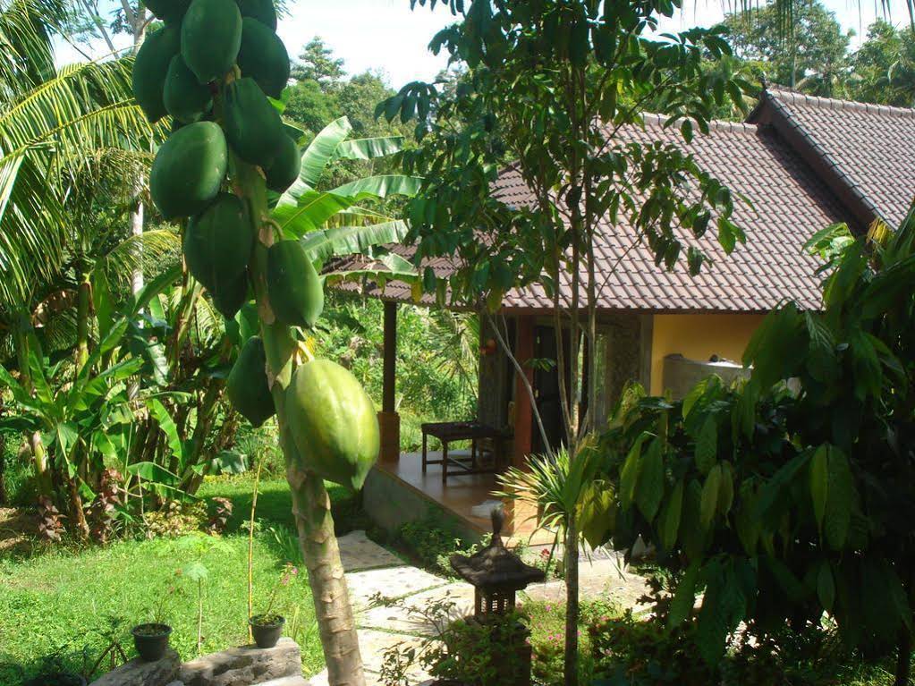 Khrisna Homestay