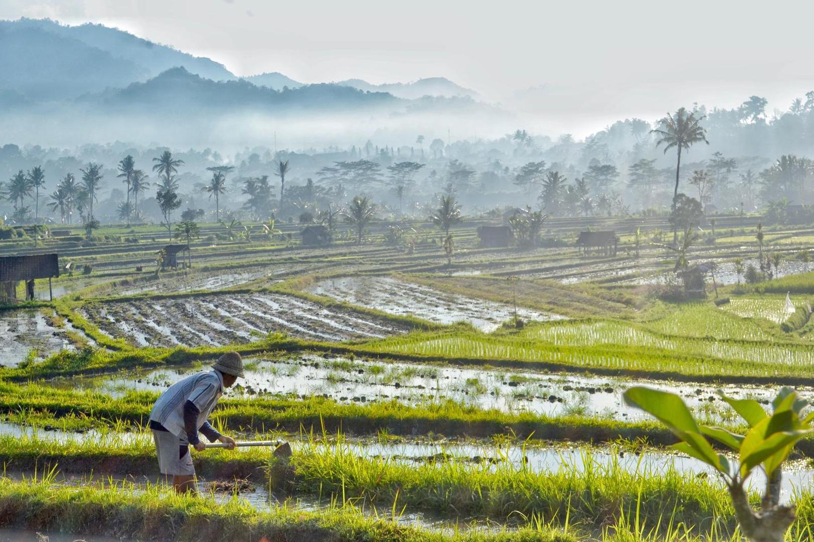 Samanvaya Luxury Resort & Spa