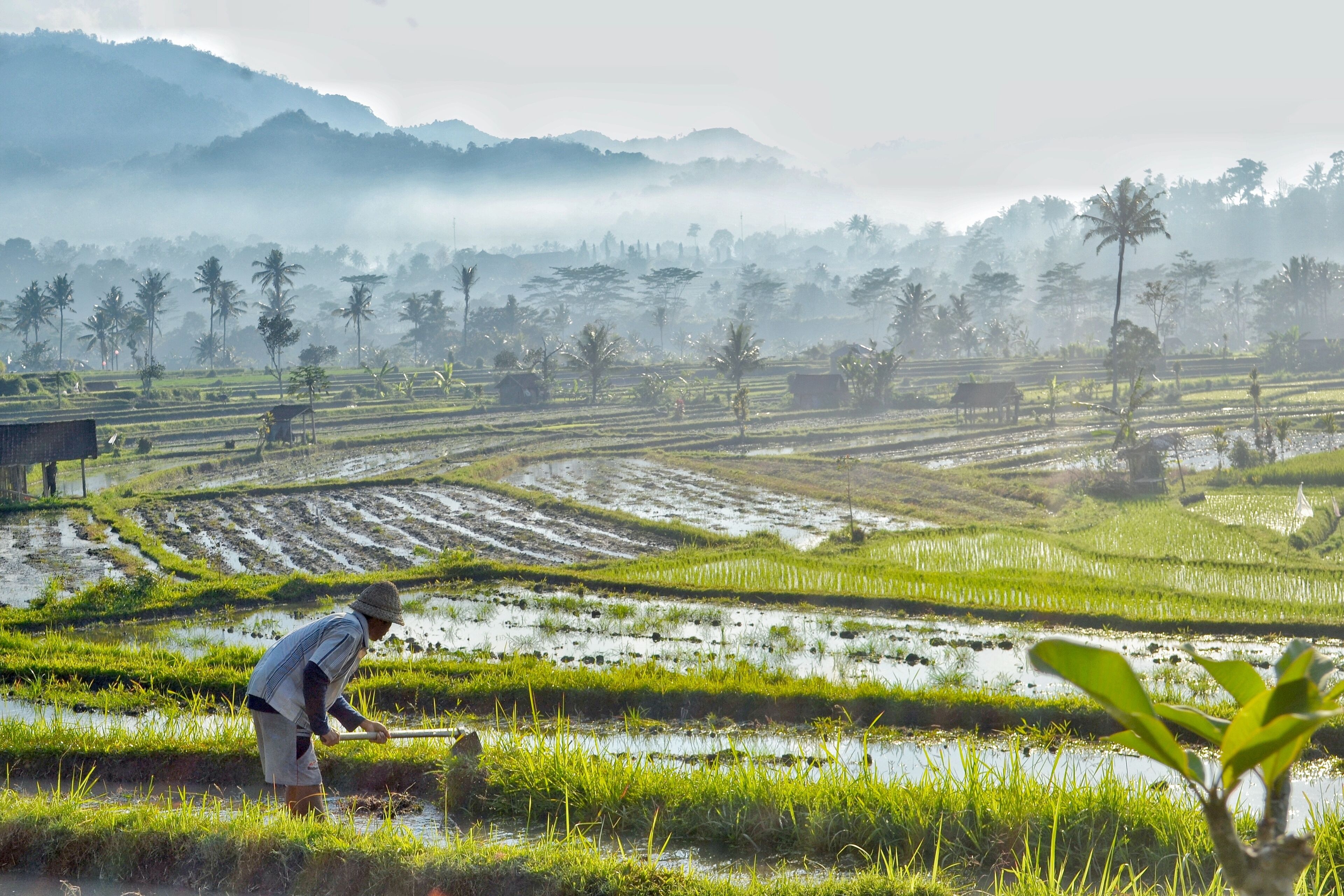 Samanvaya Luxury Resort & Spa