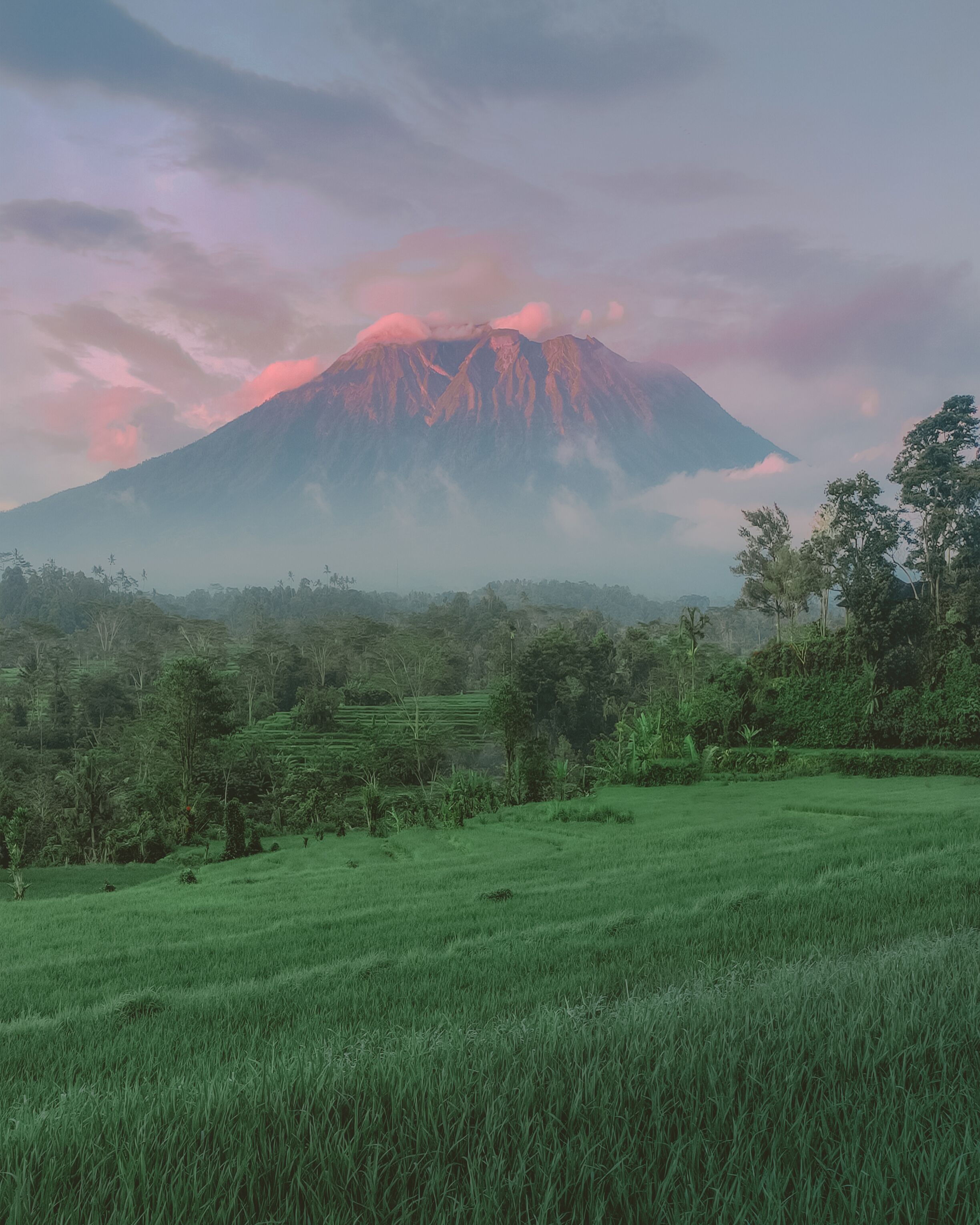 Samanvaya Luxury Resort & Spa