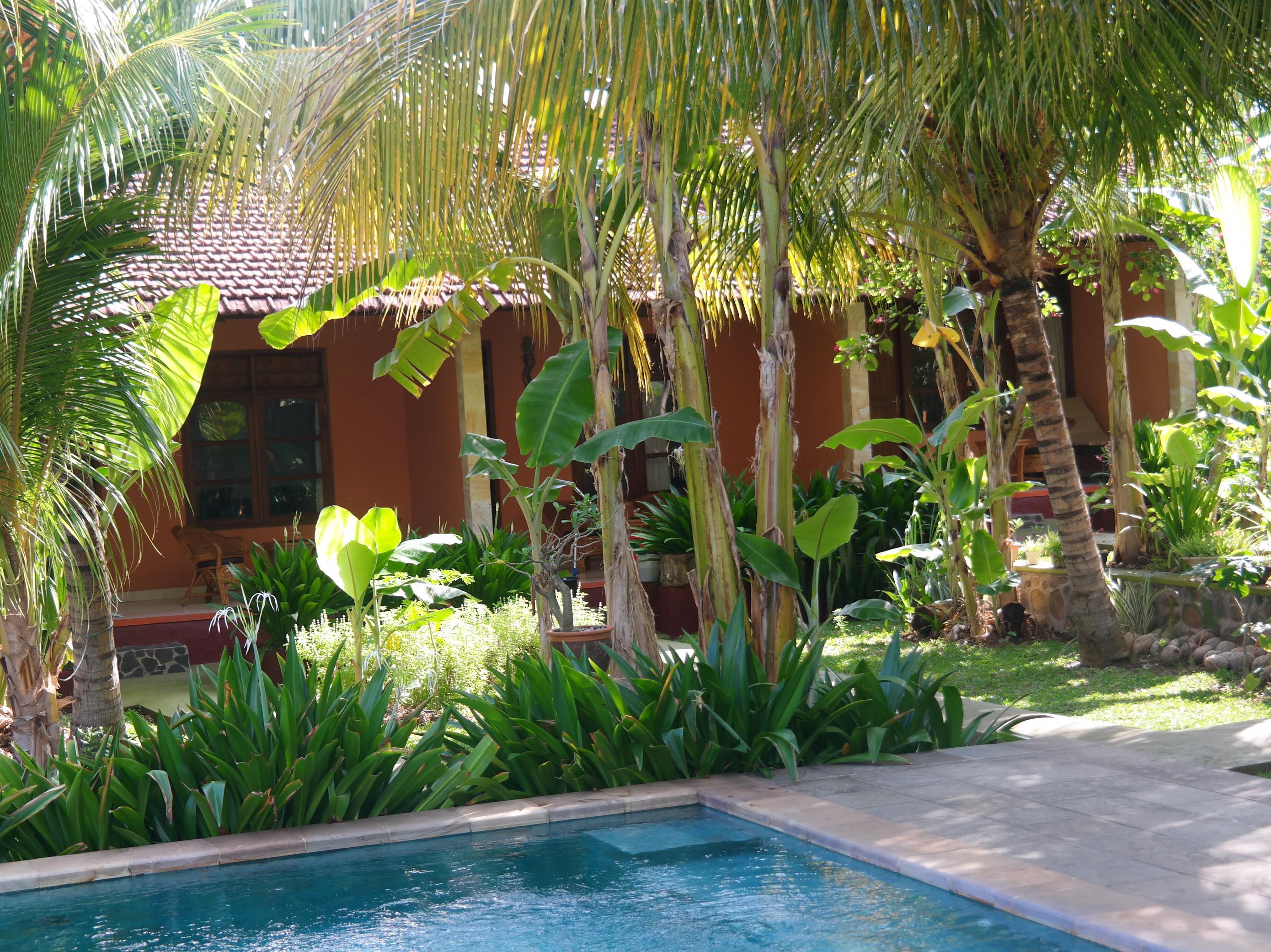 1000 Dream Bungalow