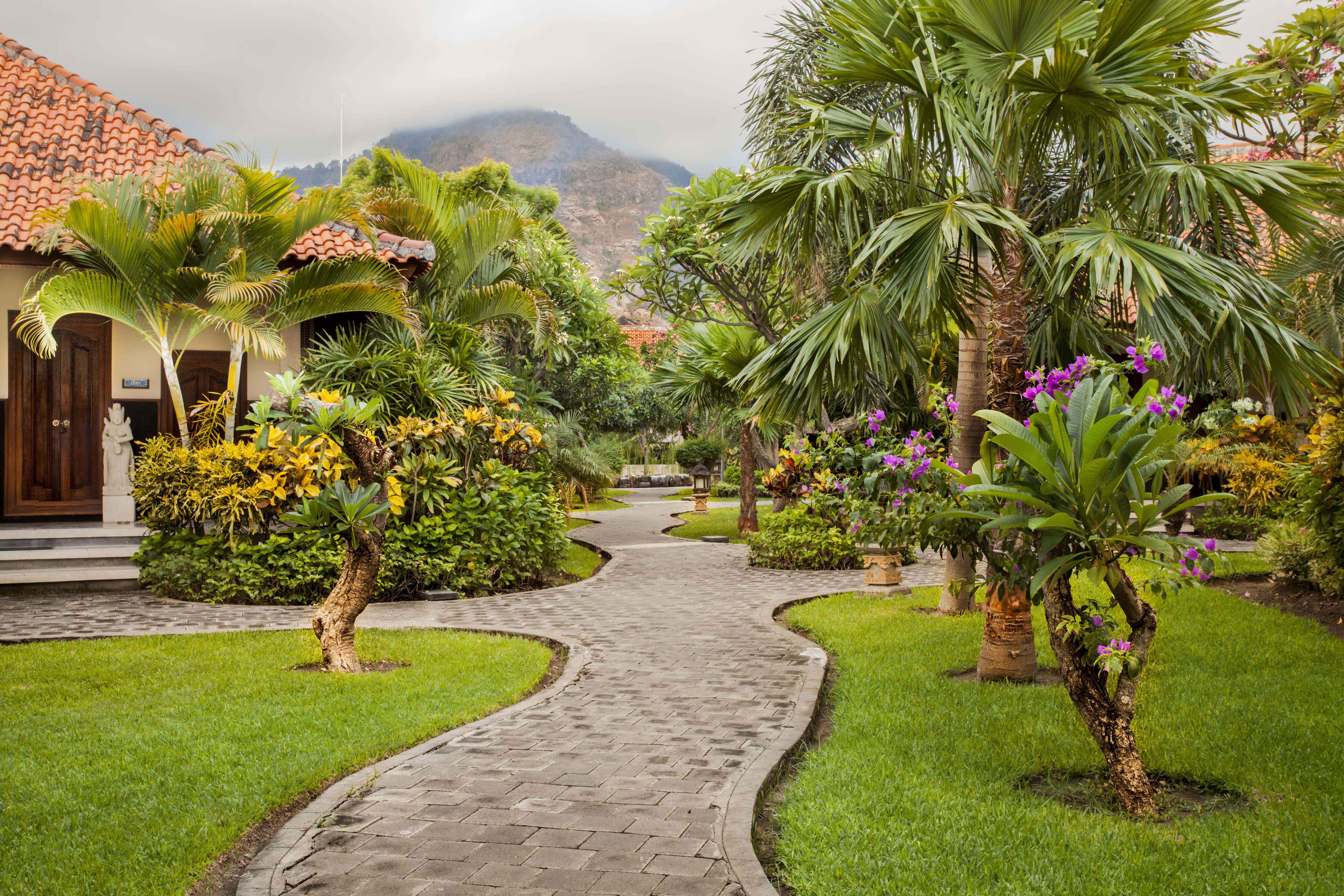 Adi Assri Beach Resort