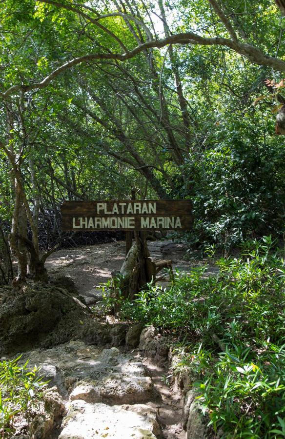 Menjangan Ecolodge