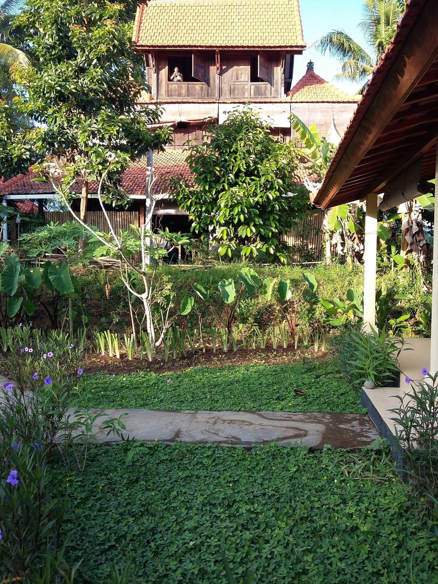 Bali Bila Bungalow