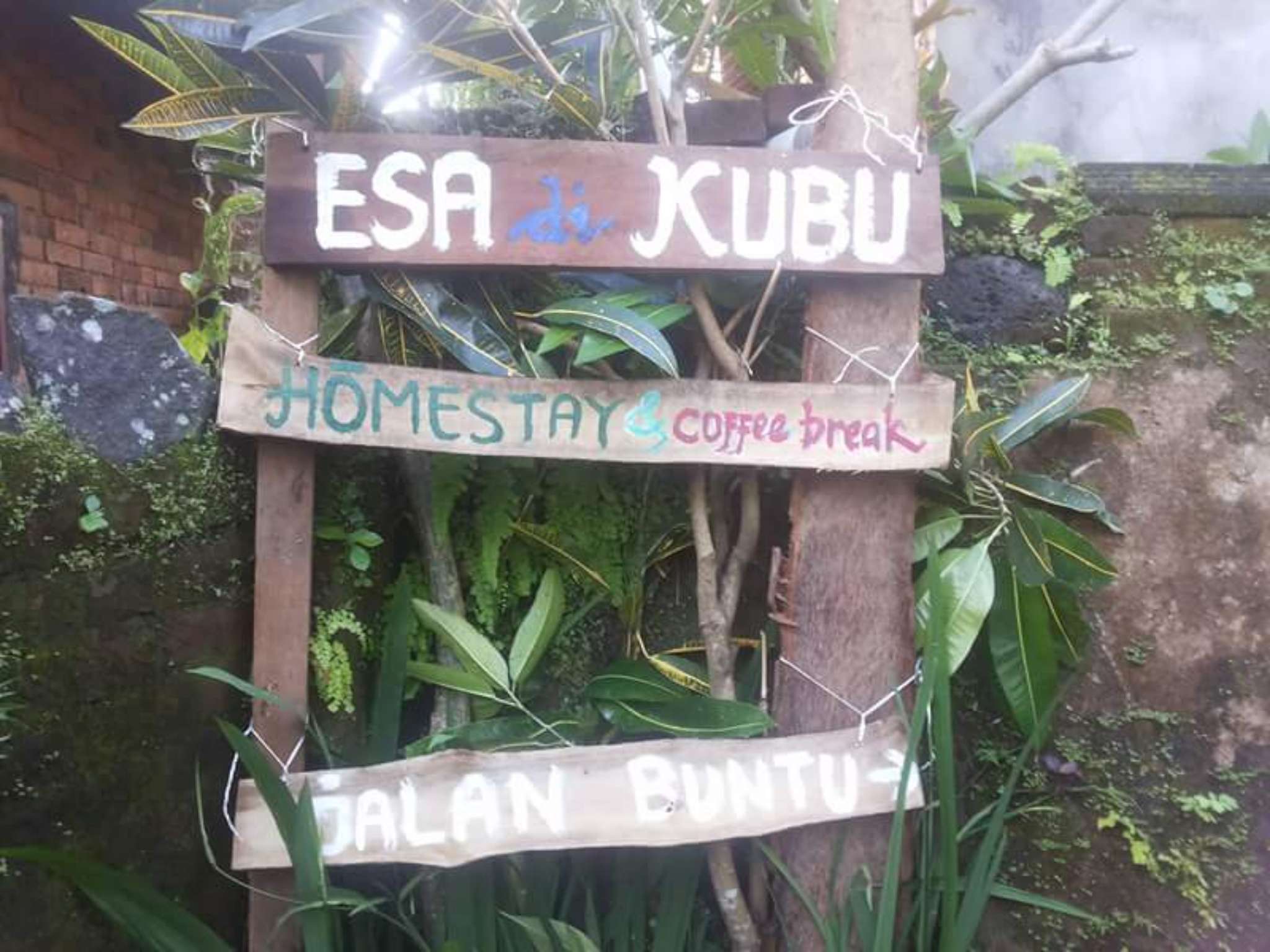 Esa Di Kubu Homestay