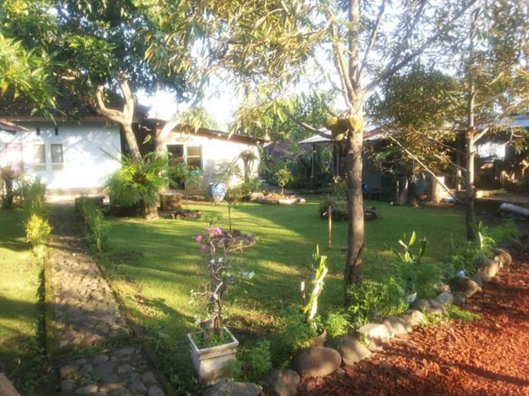 Esa Di Kubu Homestay