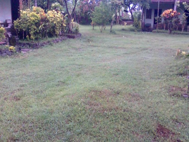 Hepi Bungalow Lovina