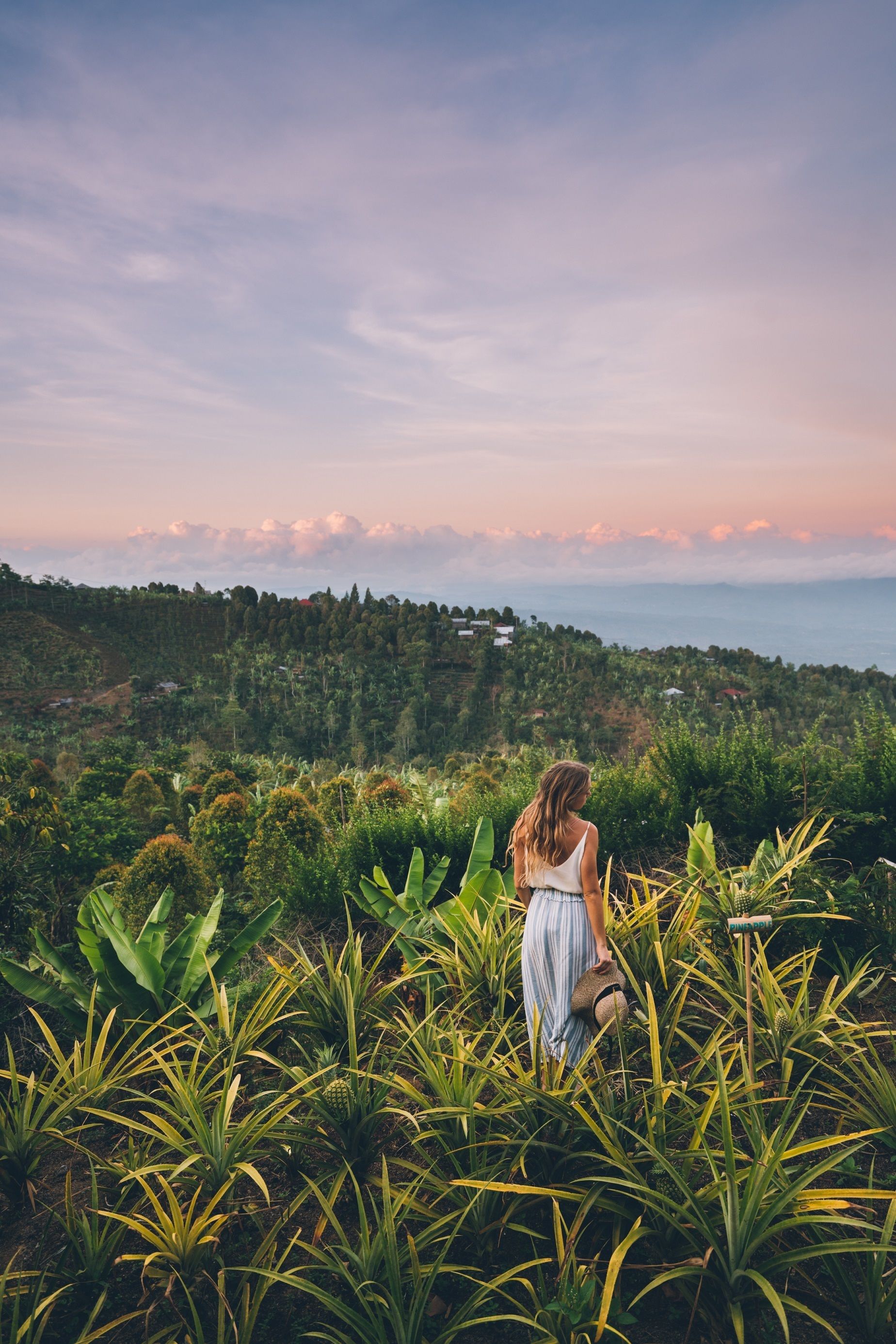 Munduk Moding Plantation Nature Resort & Spa