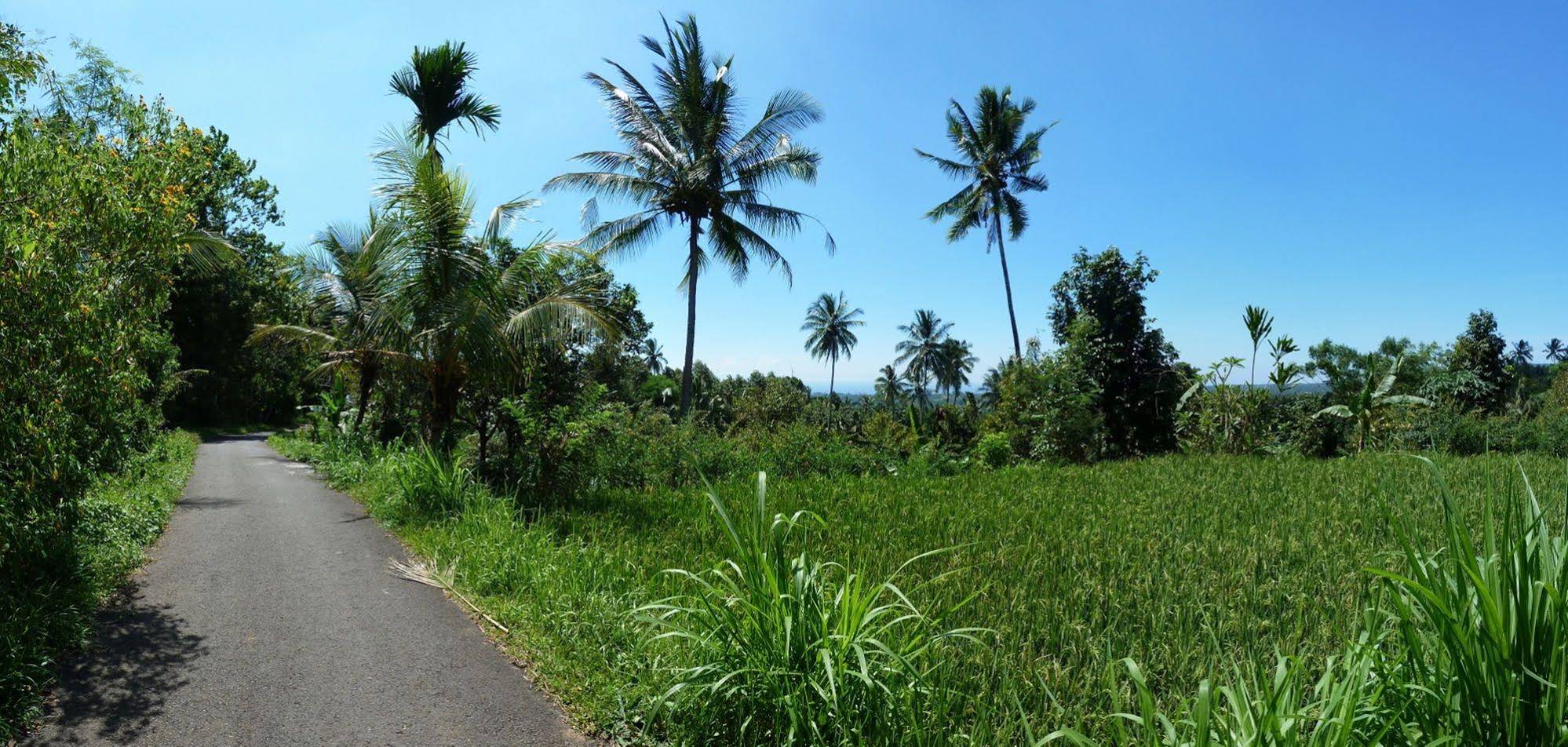 Omunity Bali