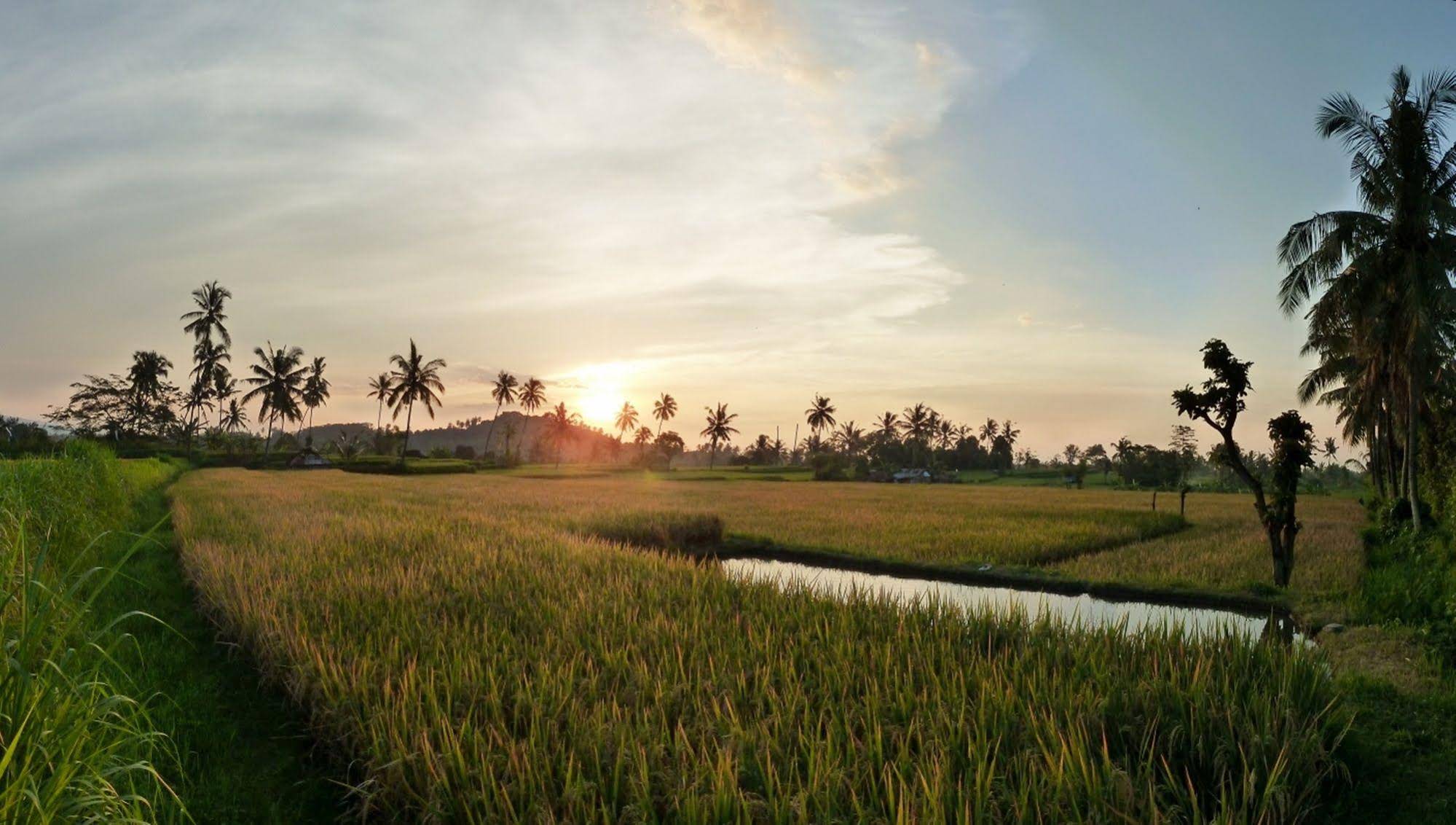 Omunity Bali
