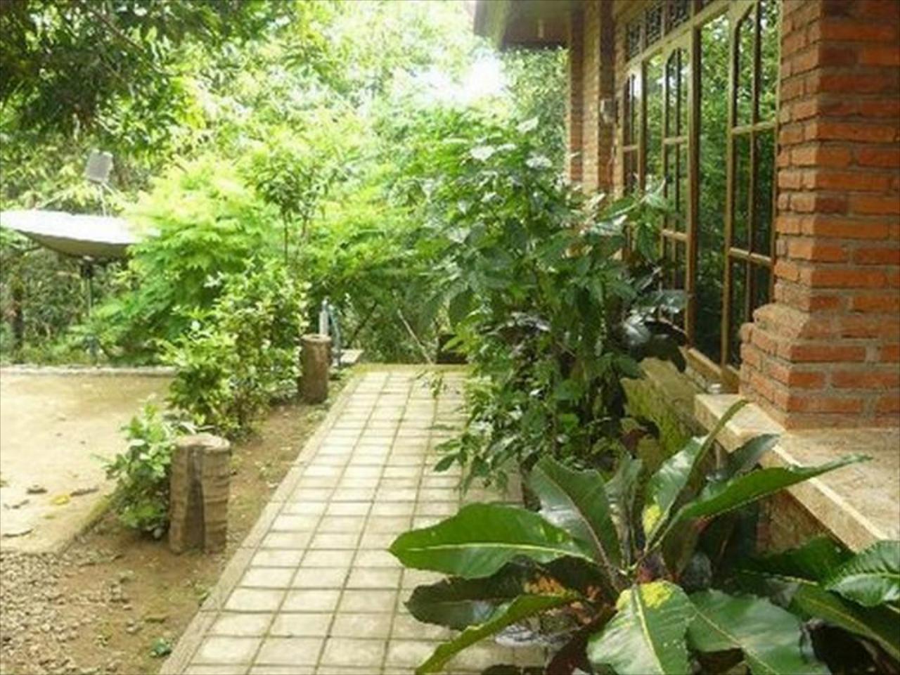 Pondok Abian Homestay Singaraja