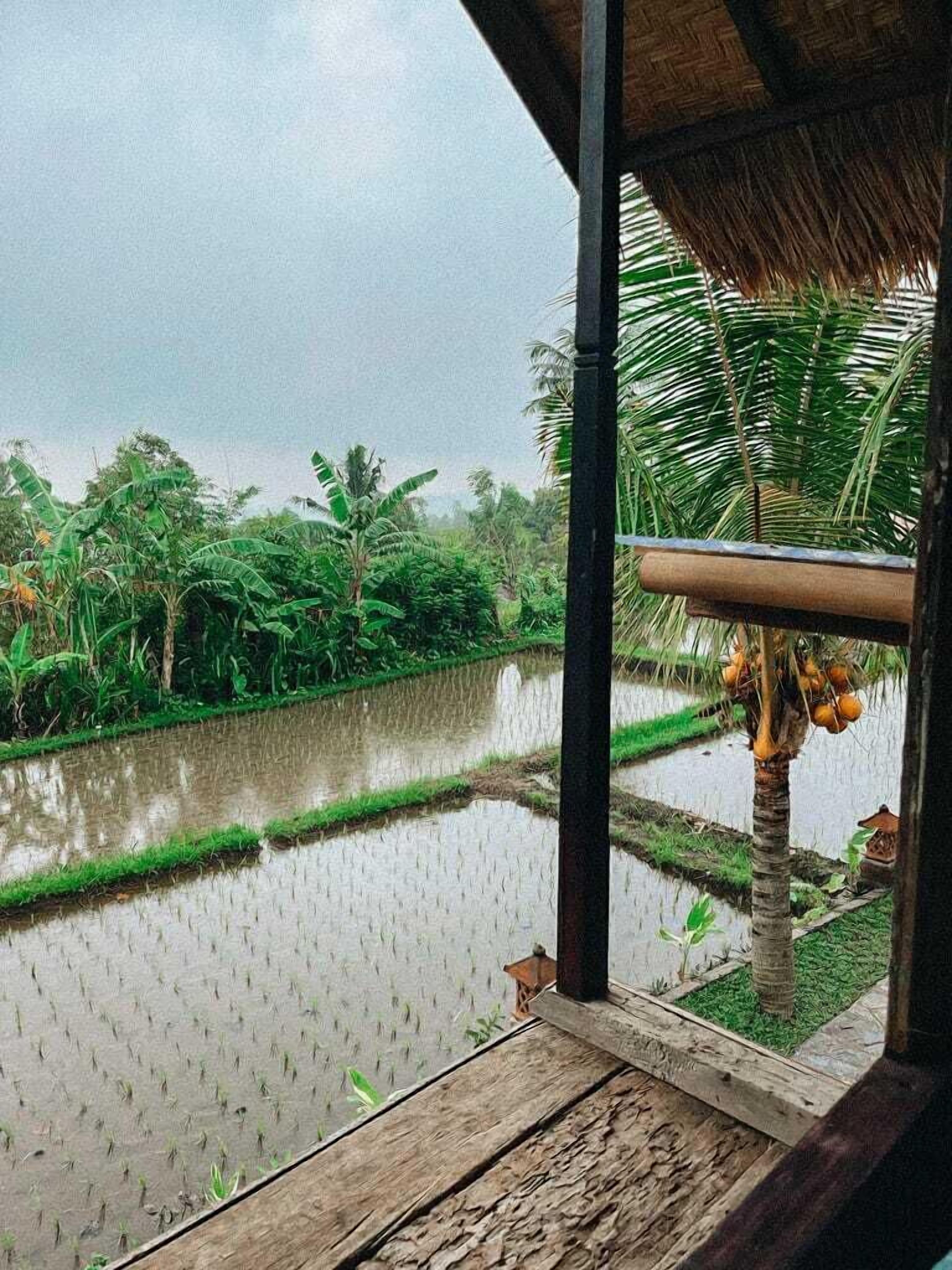 Pondok Apsari 2