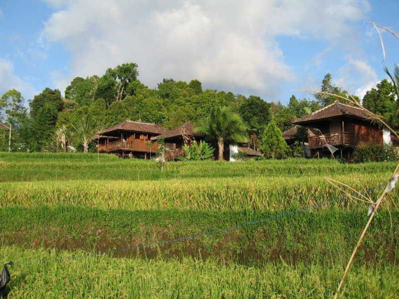 Puri Lumbung Cottages