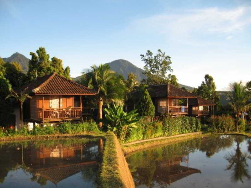 Puri Lumbung Cottages