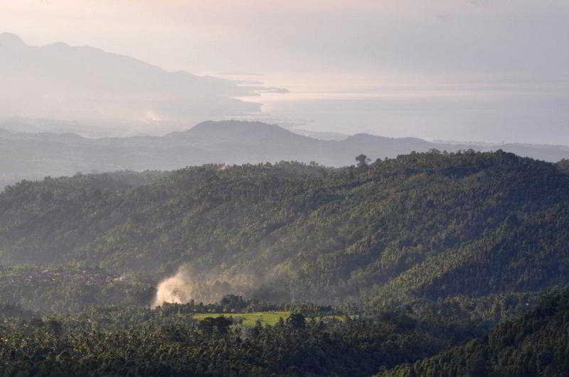 Puri Lumbung Cottages