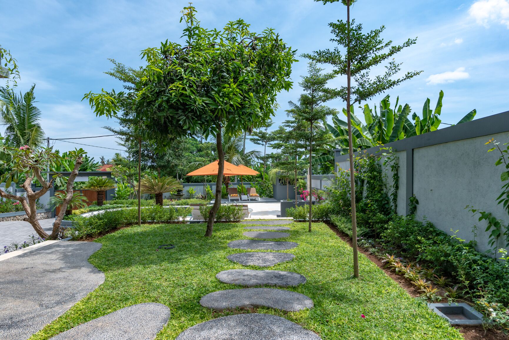 Hillside Lovina Studio