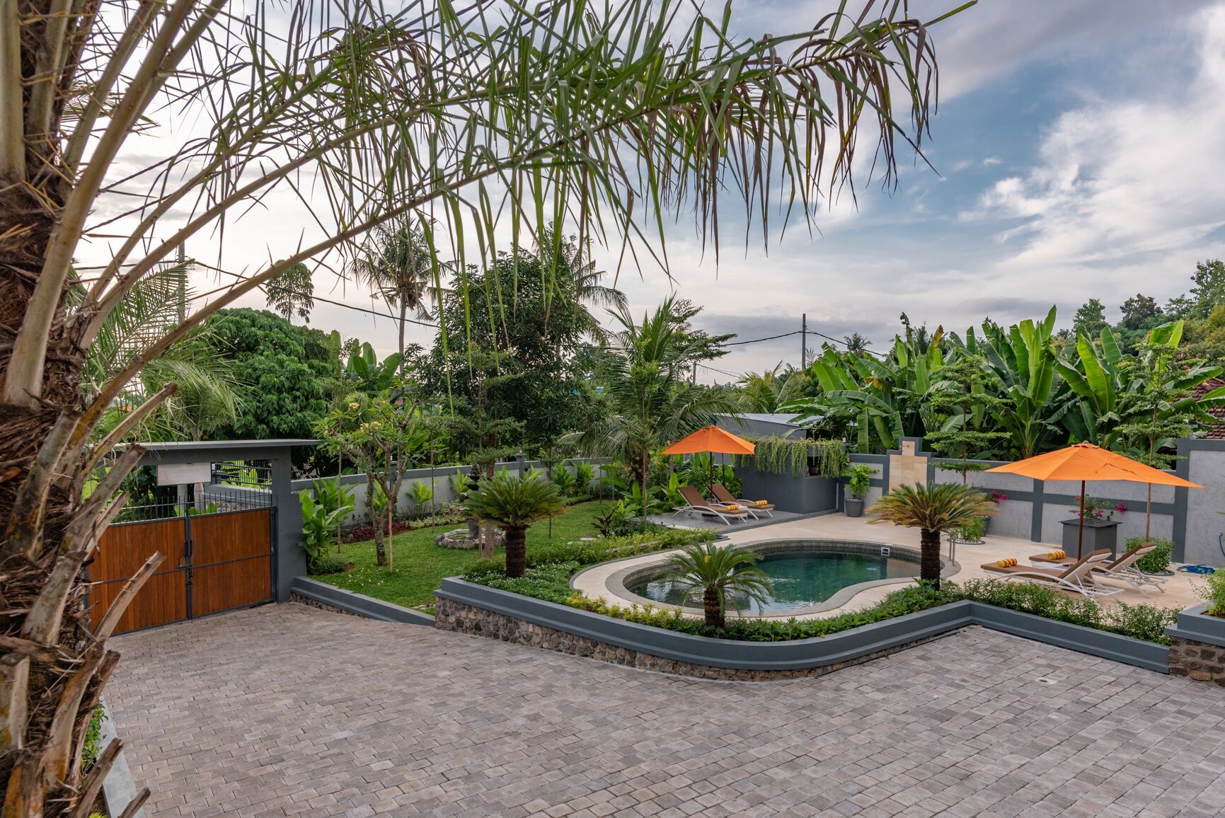 Hillside Lovina Studio