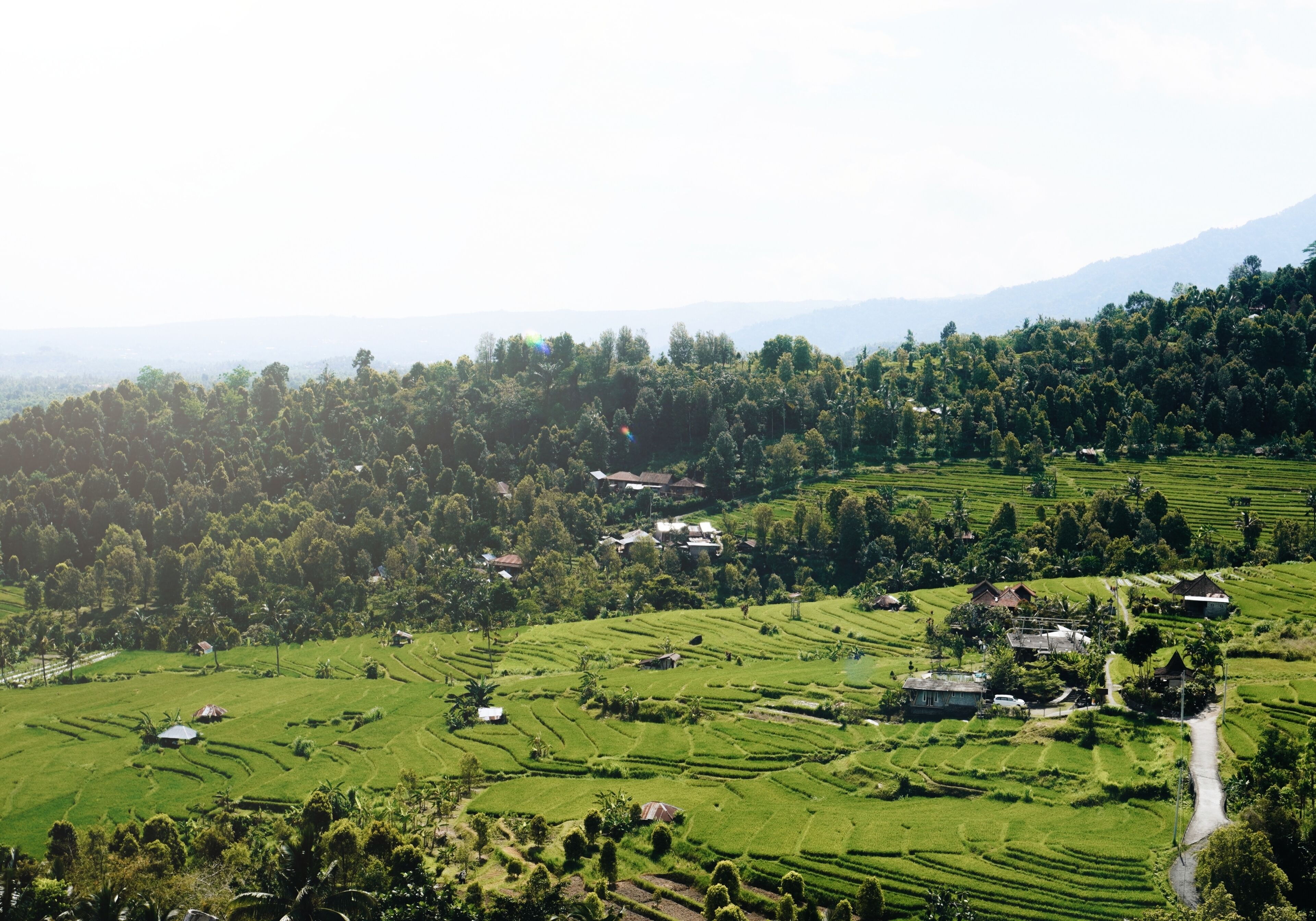 Maha Hills