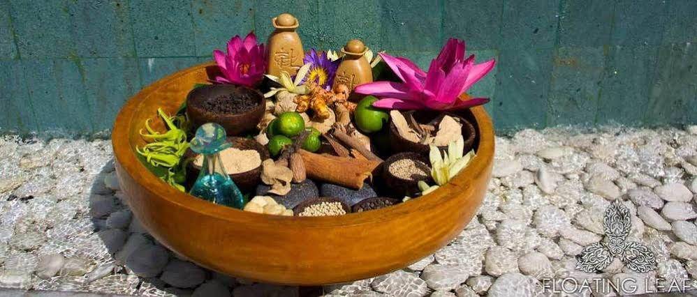 Floating Leaf Eco-Luxury Retreat