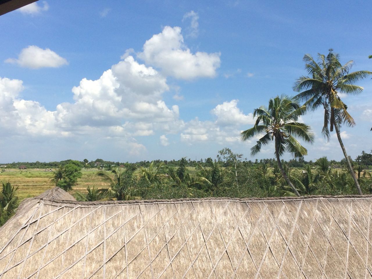 Luxury Zakti Ubud