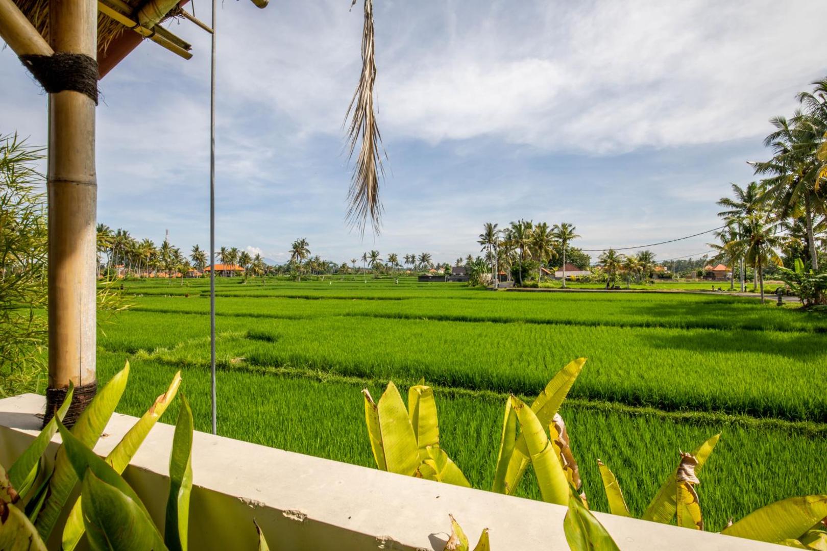 Sisin Ubud View