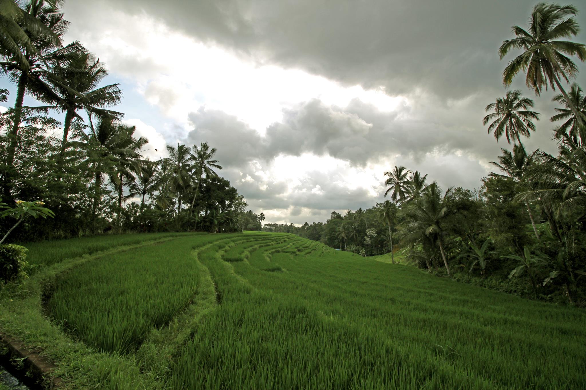 Bali Eco Stay