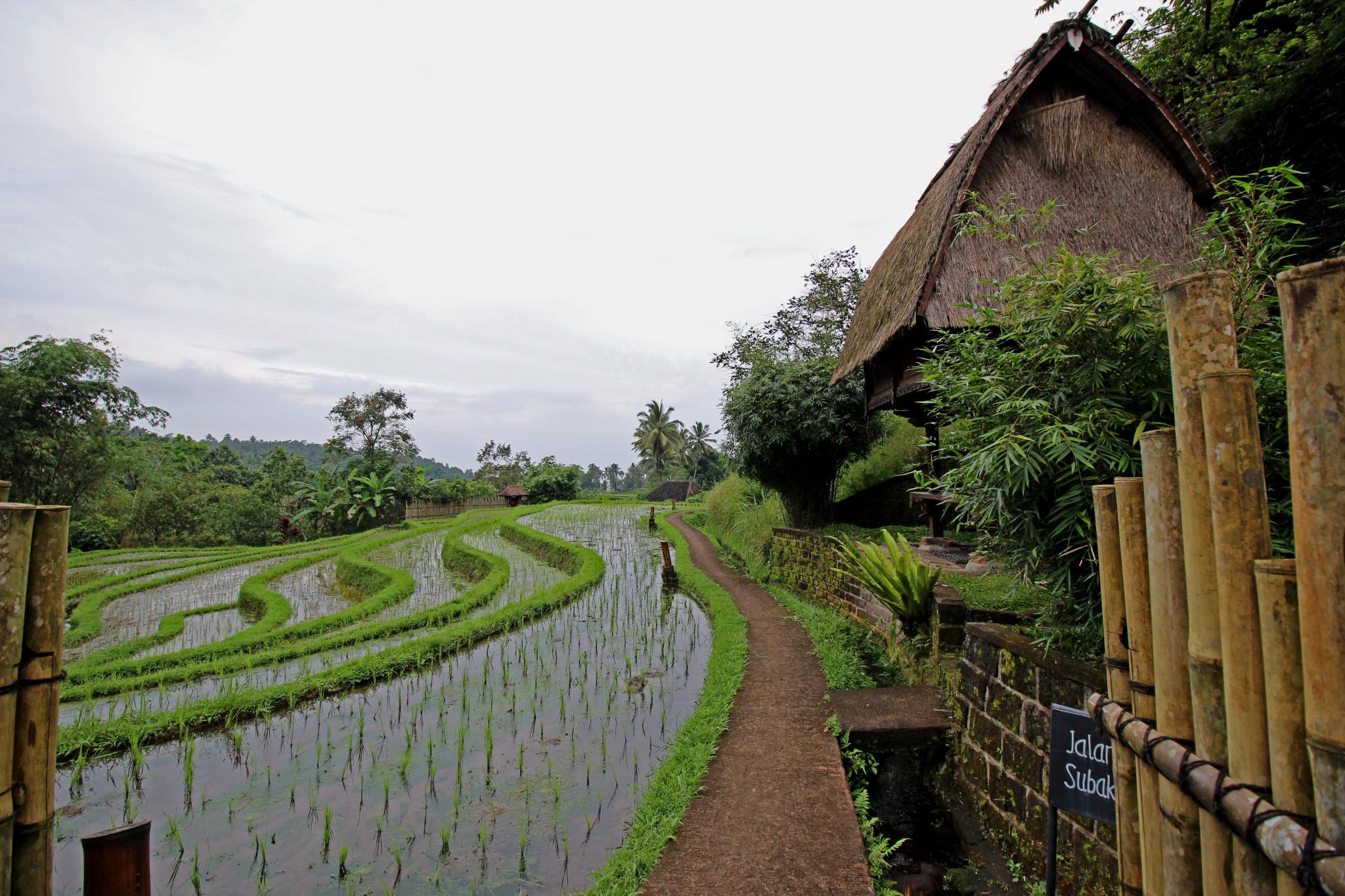 Bali Eco Stay