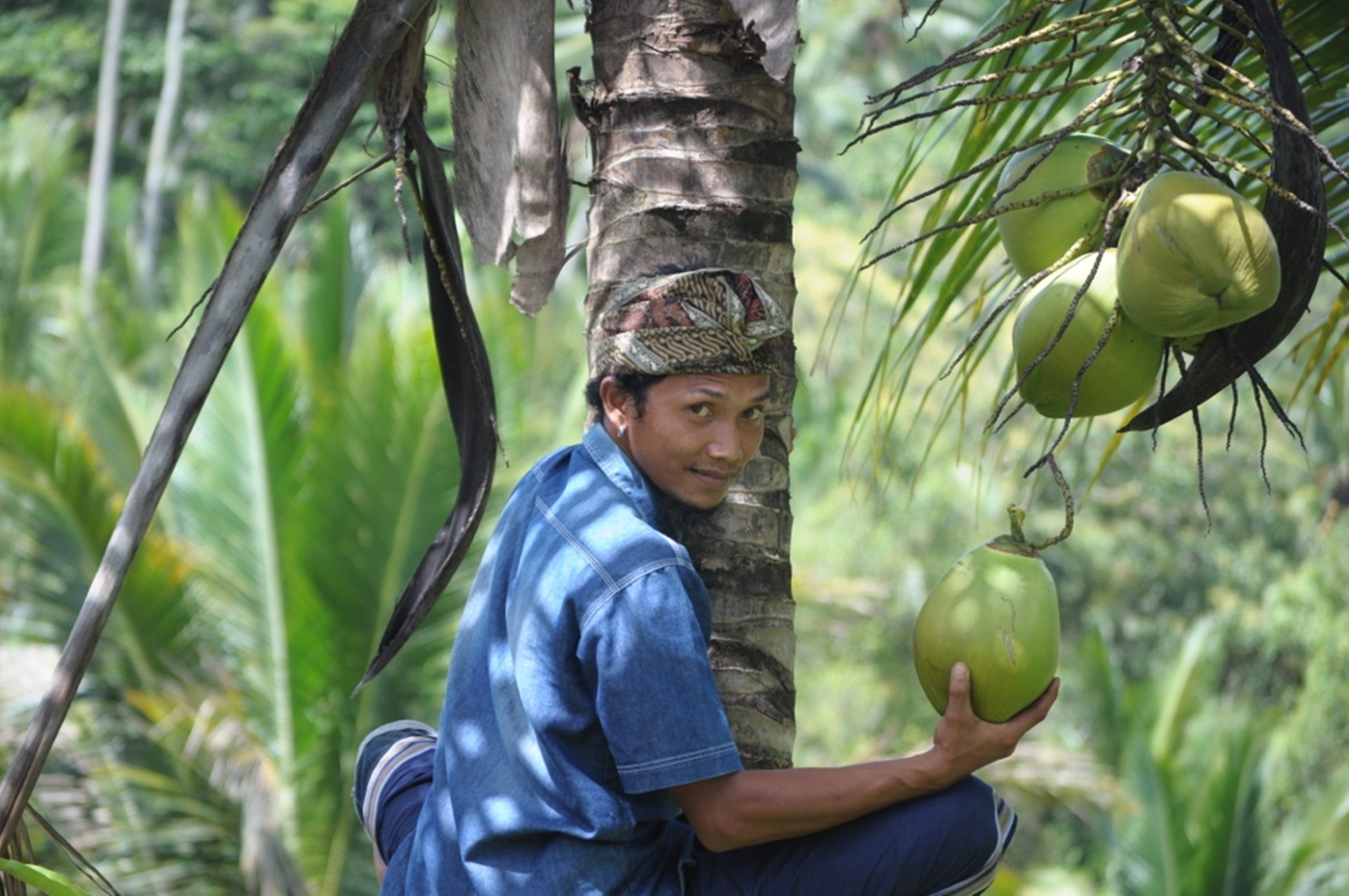 Bali Lush