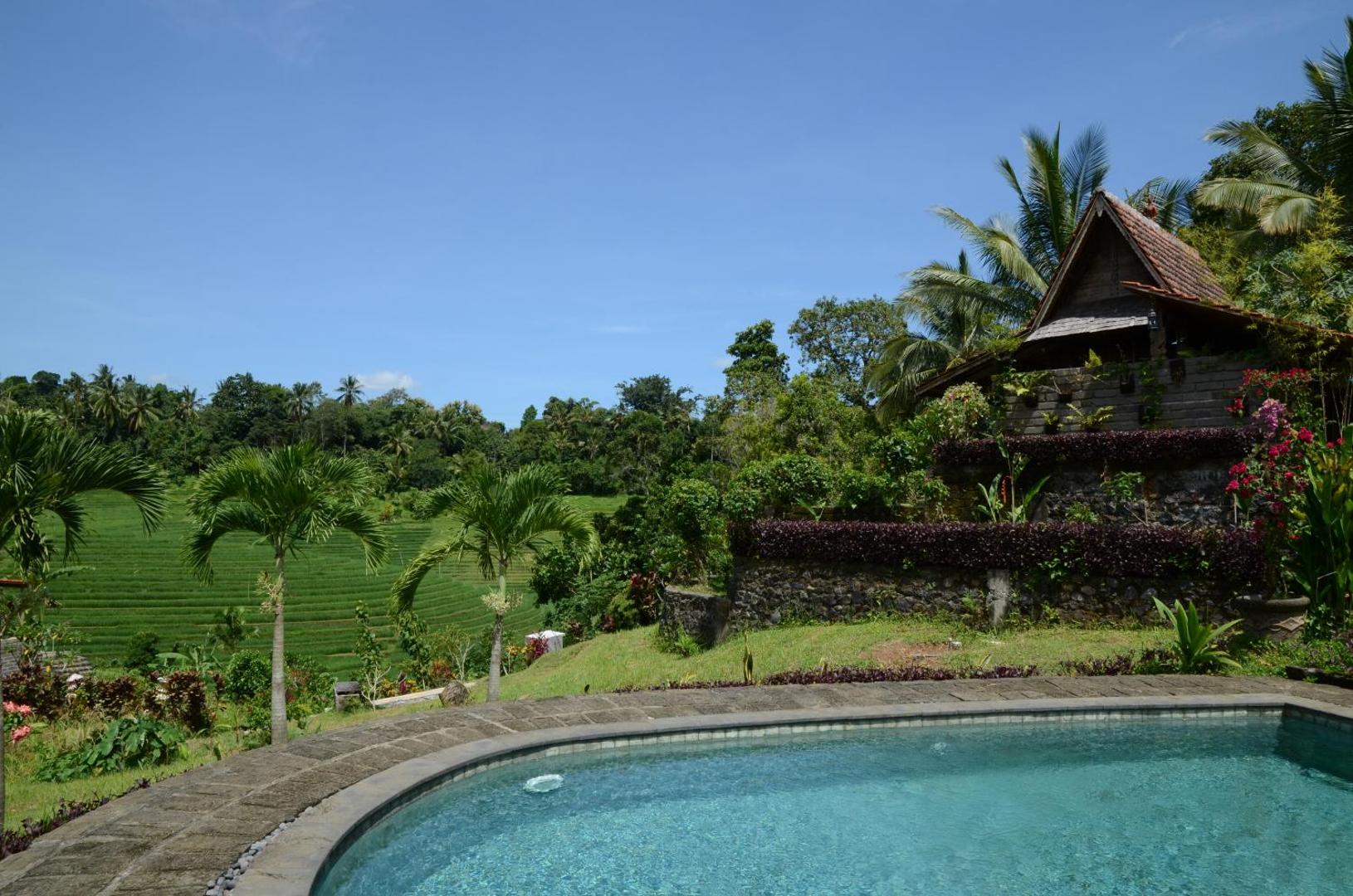 Bali Lush