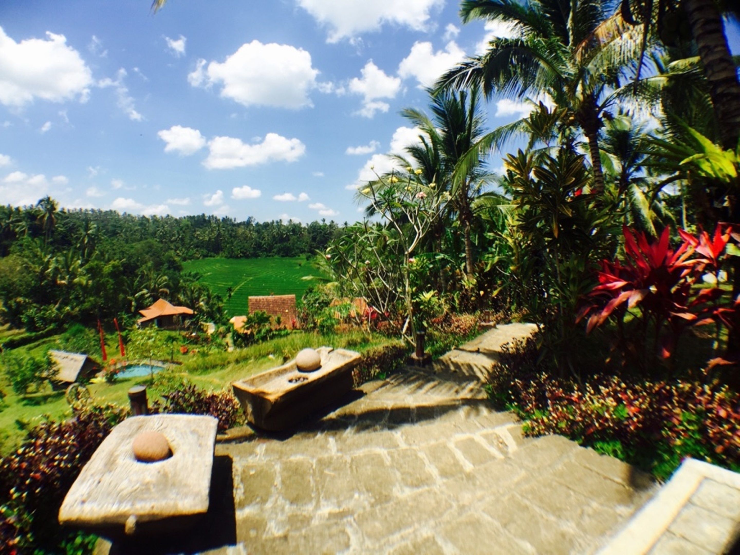 Bali Lush