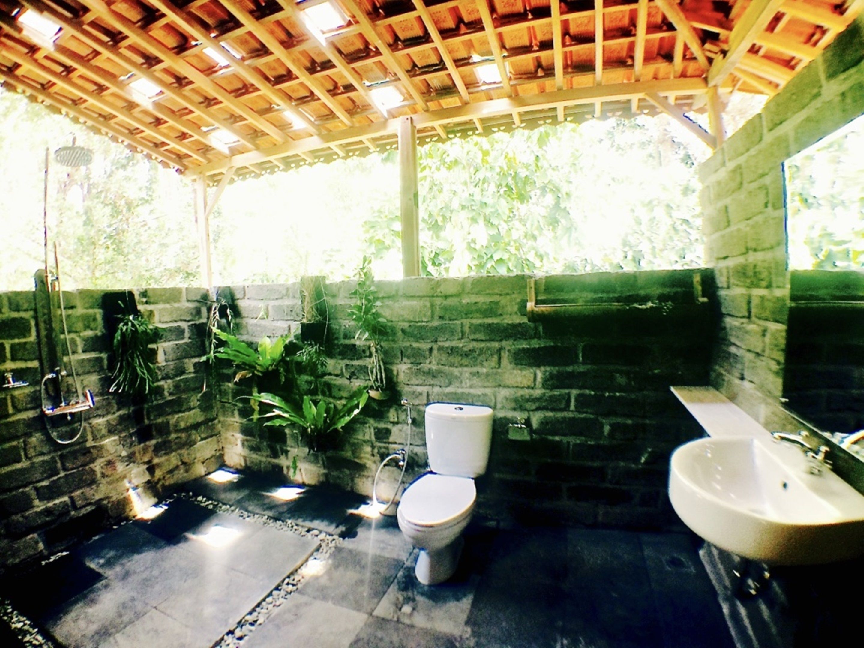 Bali Lush