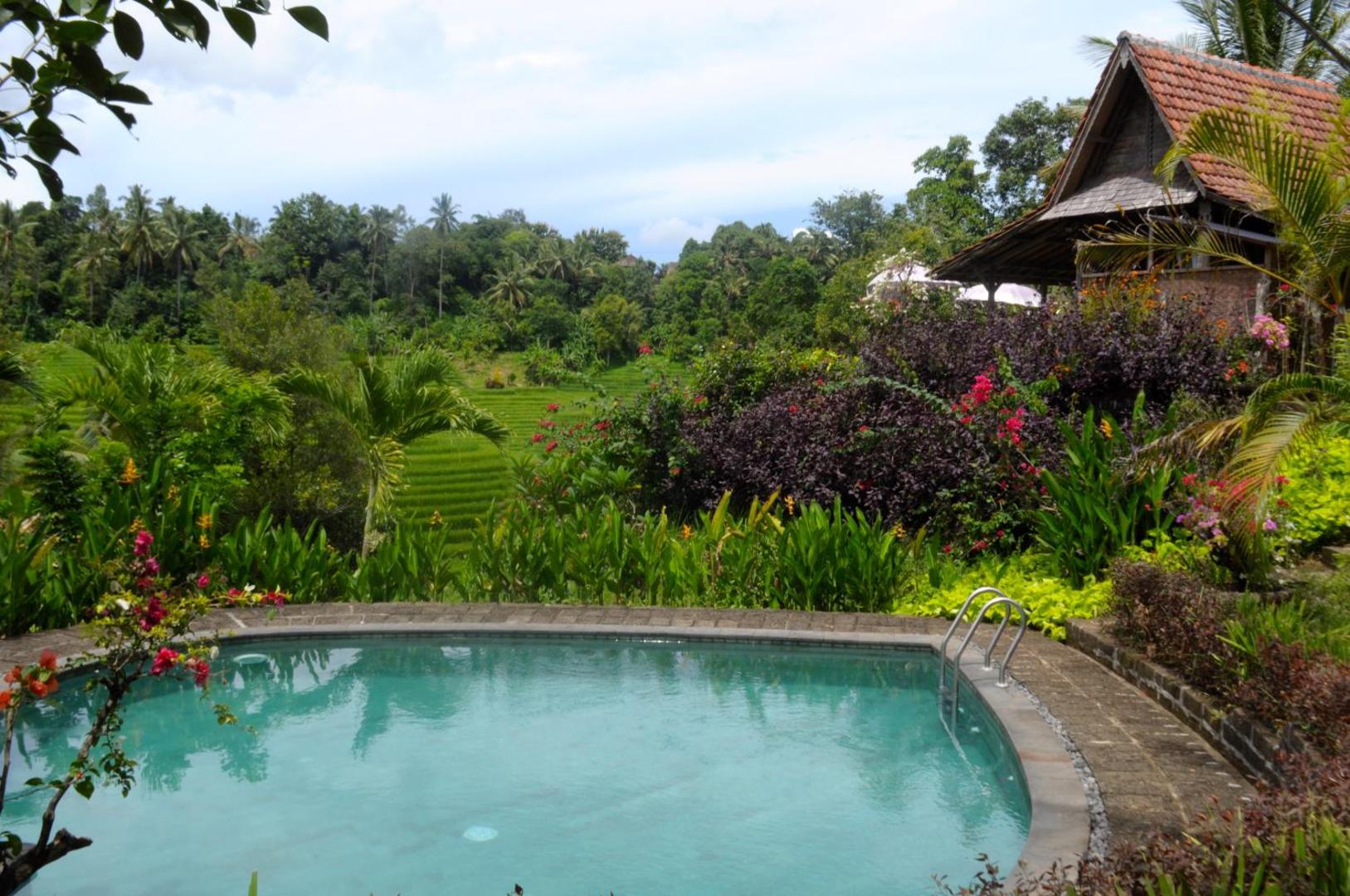 Bali Lush